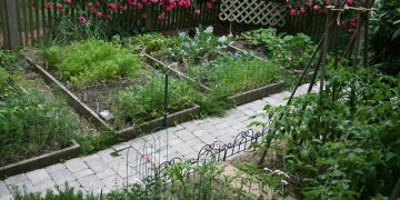 Home Gardening Tips To Help You