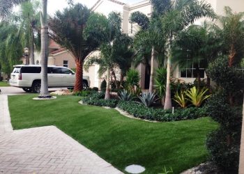 The Process Of Buying Artificial Trees Online