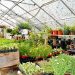 Things to Consider when Building a Greenhouse