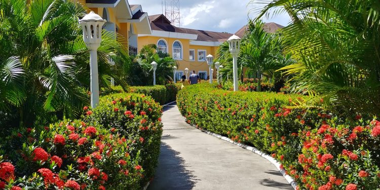 Designing a Tranquil Garden Oasis: A Step-by-Step Guide