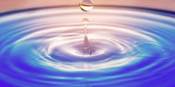 Tips for Water-Efficient Gardening in South Africa