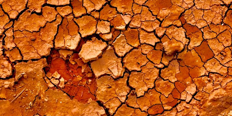 Unlocking the Secrets of Soil Amendments: Nurturing Healthy and Productive Soil