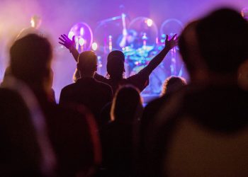 Building Raised Garden Beds in South Africa: A DIY Guide