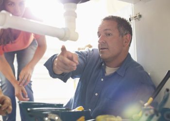 Jack and Hammer in South Africa