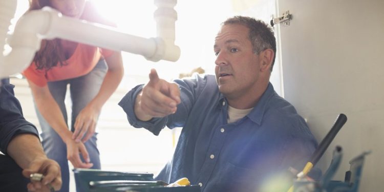 Jack and Hammer in South Africa