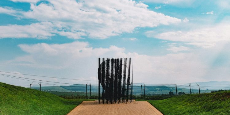 Discover the Mesmerizing Beauty of South Africa’s Foliage Flora: A Guide to Sensational Plant Species